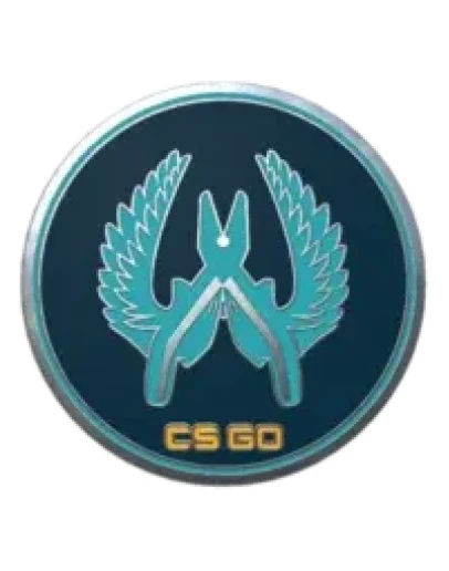 CS Go Значок Защитник