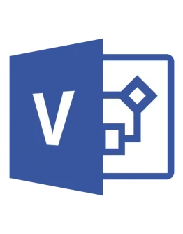 Visio Professional 2010 на 1 ПК