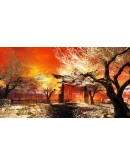 Shadow Warrior: Special Edition (Gift RU+CIS Tradable) Shadow Warrior: Special Edition (Gift RU+CIS Tradable)