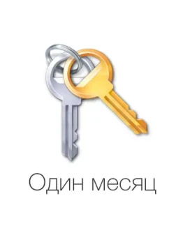 VIP ключ (на один месяц) VIP ключ (на один месяц)