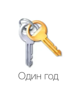 VIP ключ (на один год) VIP ключ (на один год)