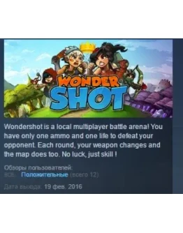 Wondershot STEAM KEY REGION FREE GLOBAL