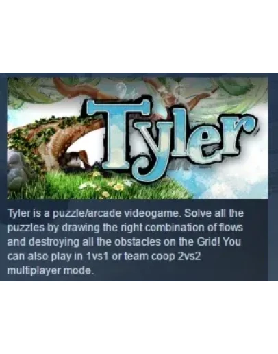 Tyler STEAM KEY REGION GLOBAL+РОССИЯ ЛИЦЕНЗИЯ