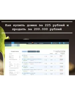 КАК ЗАРАБОТАТЬ НА ДОМЕНАХ БОЛЕЕ 200.000 РУБЛЕЙ
