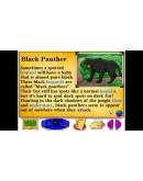 Let's Explore the Jungle (Junior Field Trips) STEAM KEY