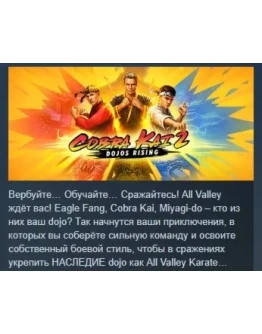 Cobra Kai 2: Dojos Rising STEAM KEY РФ+СНГ СТИМ ЛИЦЕНЗ
