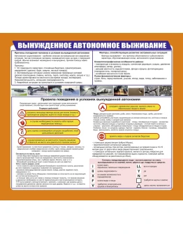 Плакат Вынужденное автономное выживание