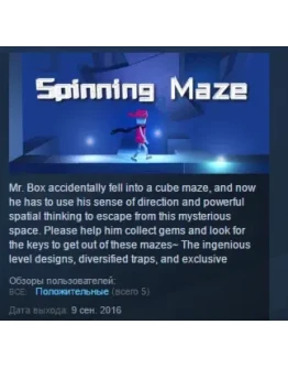 Spinning Maze STEAM KEY REGION FREE GLOBAL