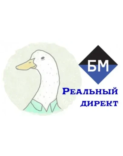 Видеозаписи Реальный Директ от БМ (Бизнес молодости)