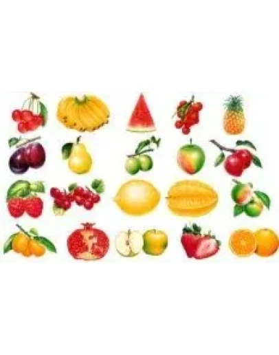 Развивающие дидактические карточки 