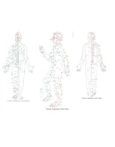 Быстрое составление вибрационных рядов. Программа.