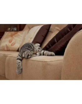 Заработок для новичков и ленивых