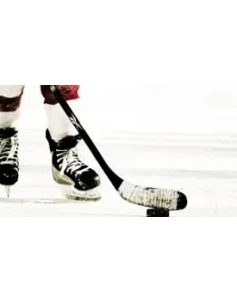 Программа на индивидуальный тотал в хоккее