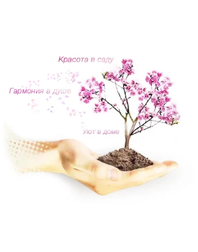 Садовый центр Сакура