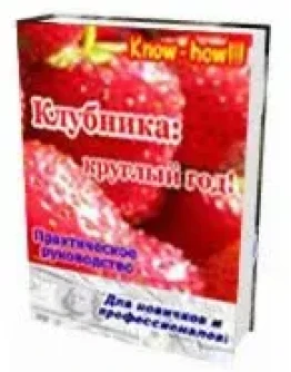 Технология по выращиванию клубники круглый год
