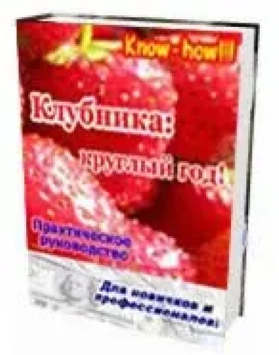 Технология по выращиванию клубники круглый год Технология по выращиванию клубники круглый год