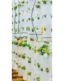 Технология по выращиванию клубники круглый год Технология по выращиванию клубники круглый год