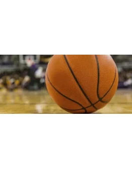 Методика ставок на баскетбол онлайн Методика ставок на баскетбол онлайн