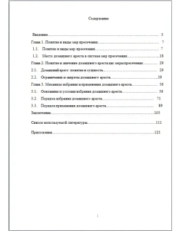 Домашний арест - диплом 2017