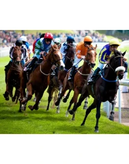 Обучение для чайников, профит от 25 в неделю. Скачки