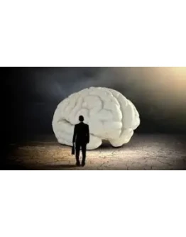 Знакомьтесь, Ваш Мозг (Udemy.com)