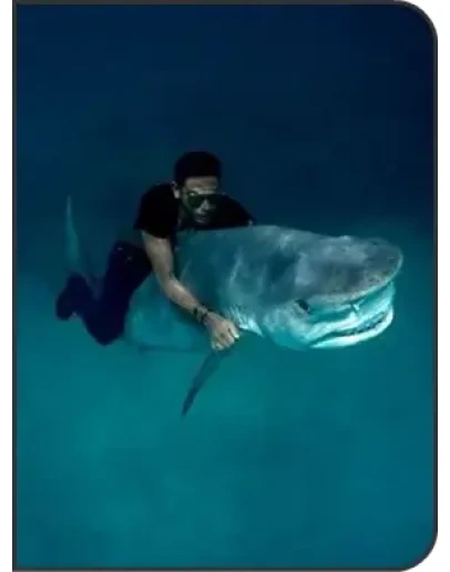 Жизнь без страха (AST Production)