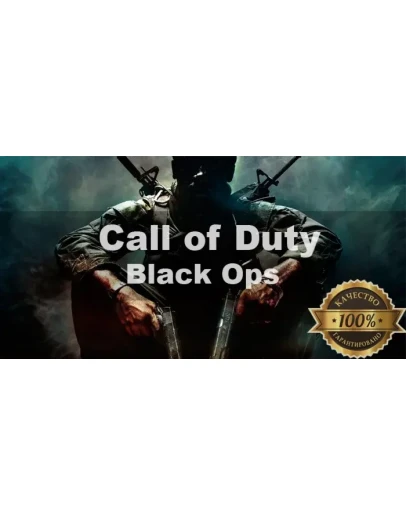 Call of Duty Black Ops Steam + Почта + Смена данных
