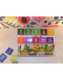 Математический чемоданчик 