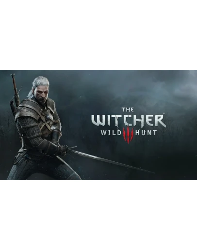 The Witcher 3 Wild Hunt Steam + Почта + Смена данных