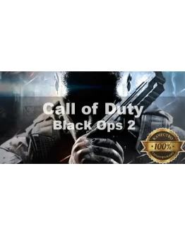 Call of Duty Black Ops II Steam + Почта + Смена данных