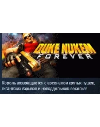 Duke Nukem Forever STEAM KEY РФ+СНГ СТИМ КЛЮЧ ЛИЦЕНЗИЯ