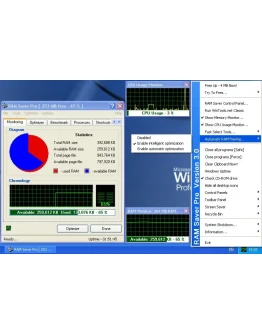 RAM Saver Professional