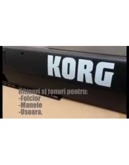 Style complet din setul 2017 Marius Gerea korg pa3x