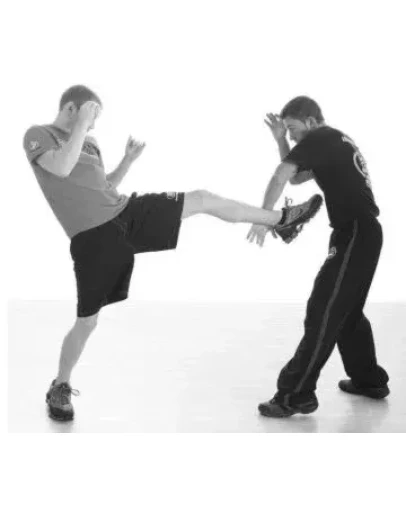 Книга Крав Мага для начинающих