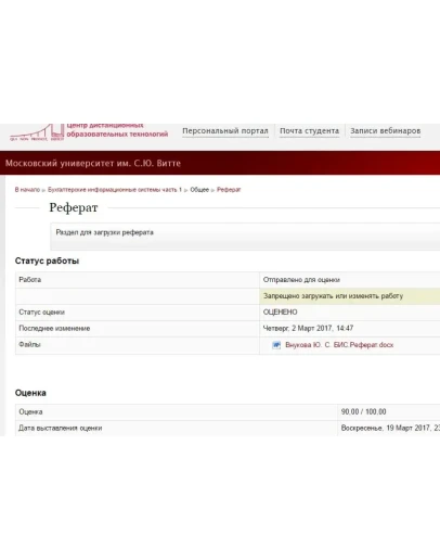 Бухгалтерские информационные системы ч. 1 Реферат Витте