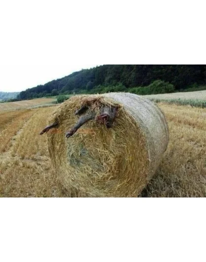 Акуитительно уголовное право для чайников