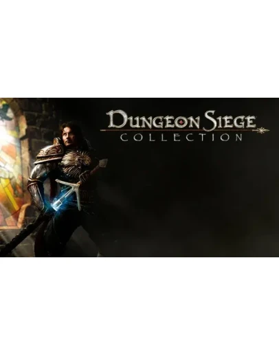 Dungeon Siege Collection (Steam Gift Region Free / ROW)