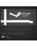 Real World Racing (Steam Gift Region Free / ROW)