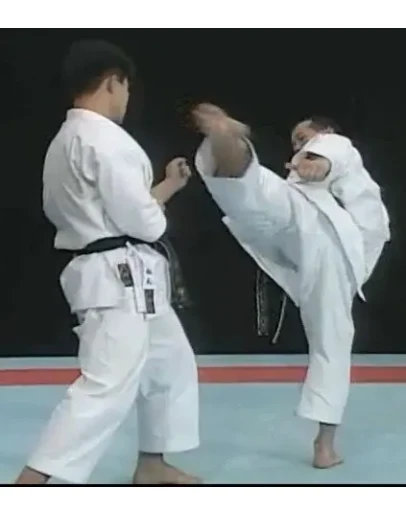 Видеофильм Удары ногами в каратэ - Выбор дистанции