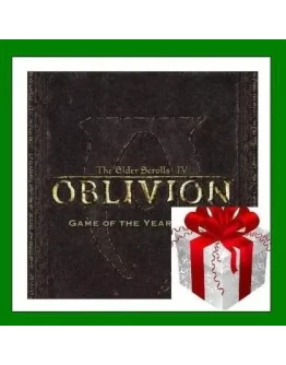 The Elder Scrolls IV Oblivion GOTY Steam Key RU-CIS-UA