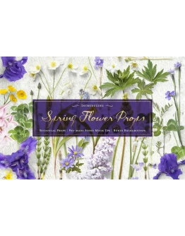 Spring Flower Props &amp Mockups
