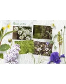 Spring Flower Props &amp Mockups