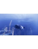 Depth (steam gift/ru+cis)