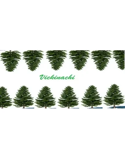 Vickinachi (Steam Key/Region Free)