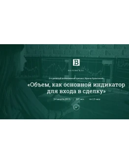 Ирина Булыгина Объем, как основной индикатор (2017)