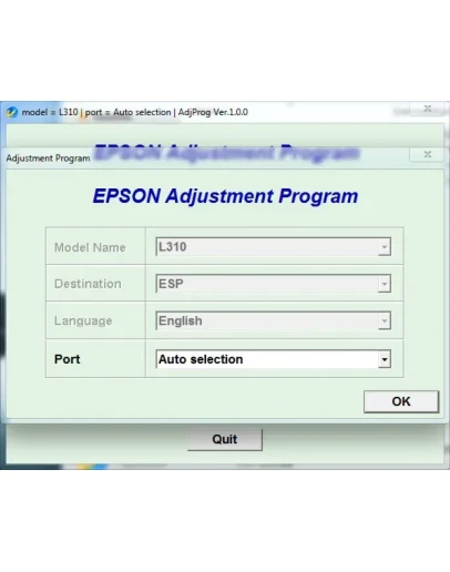 Adjustment program Epson L310 (ESP)