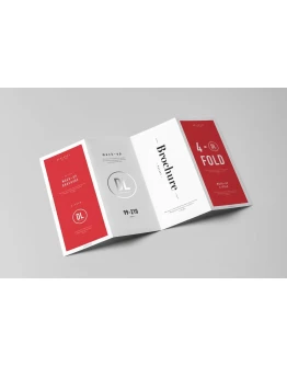 4xDL Brochure Mock-up