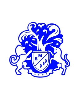 БМ Bootcamp Автопродажи