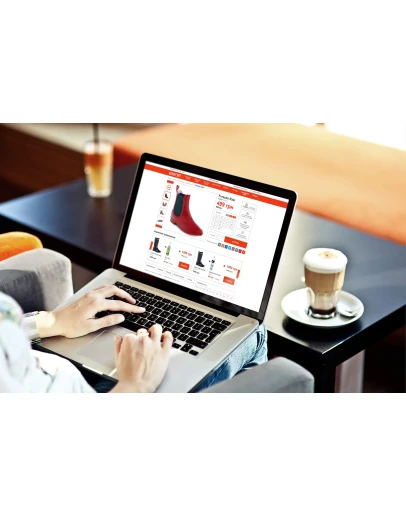 12 готовых Интернет-Магазинов