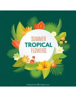 Левитас - Бизнес под пальмой (2017)